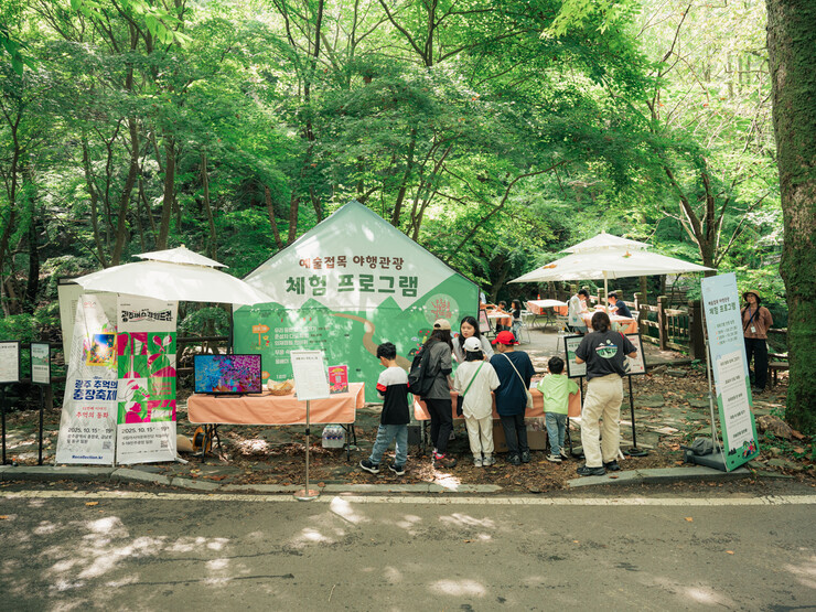 무등산, 예술과 춘설차가 빚는 인문여행지로 탈바꿈