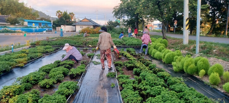 공동체의 정·이야기가 있는 영암 브랜...