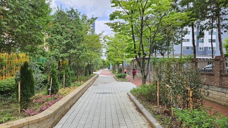 광주광역시, 폭염·열섬 대응 도시숲 ...